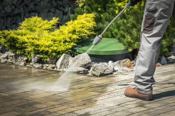 Best Dumpster Area Cleaning  in Austin, MN